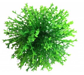 biOrb Grüner Buchsbaumkugel