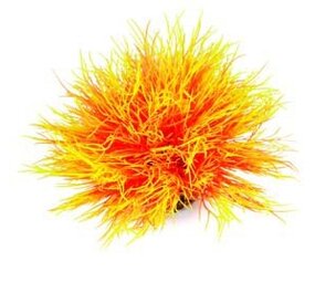 biOrb Sea Lily Flame