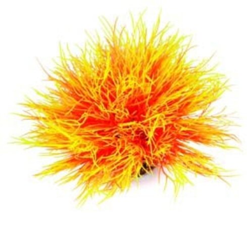 biOrb Sea Lily Flame