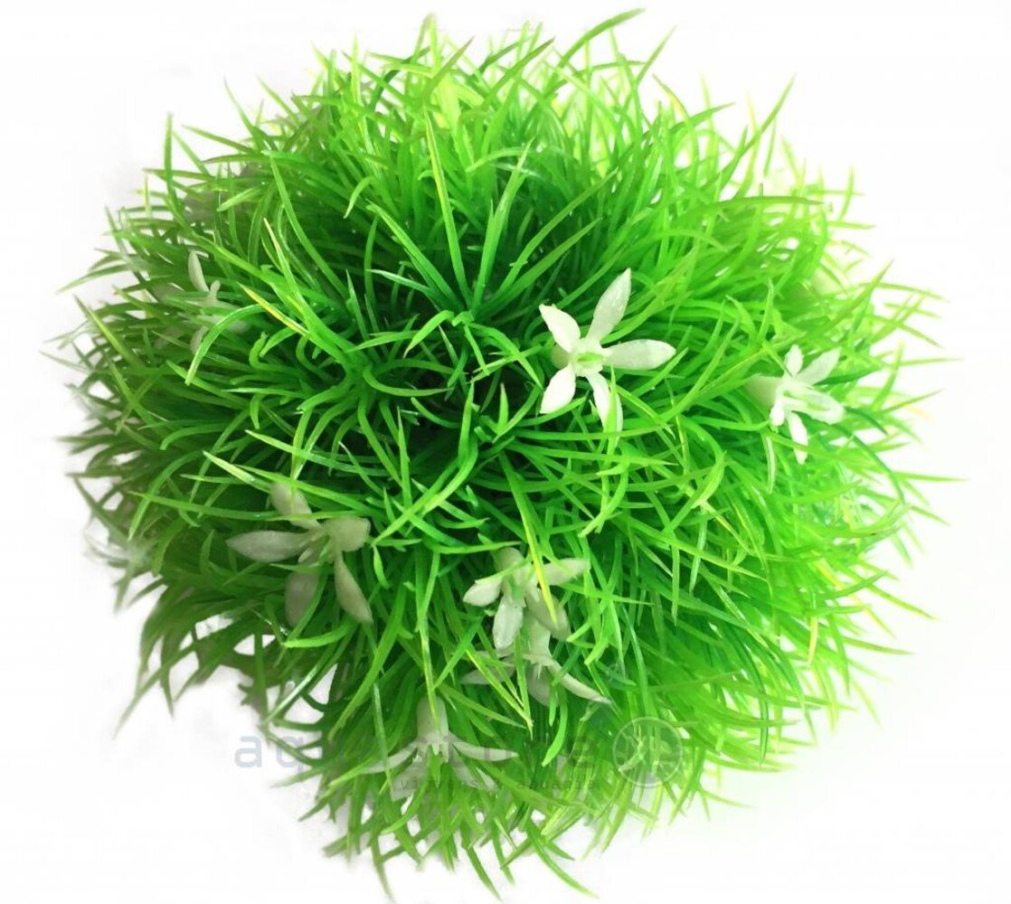 biOrb Mooskugel mit Gänseblümchen