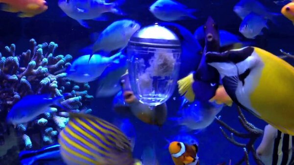 Superfish Weidepod Futterspender Superfish Weidepod Futterspender