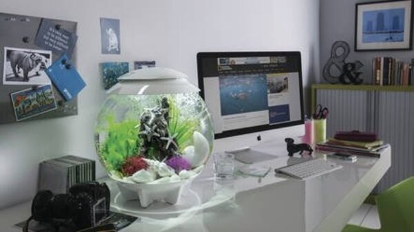 biOrb Halo 15 MCR Weiß