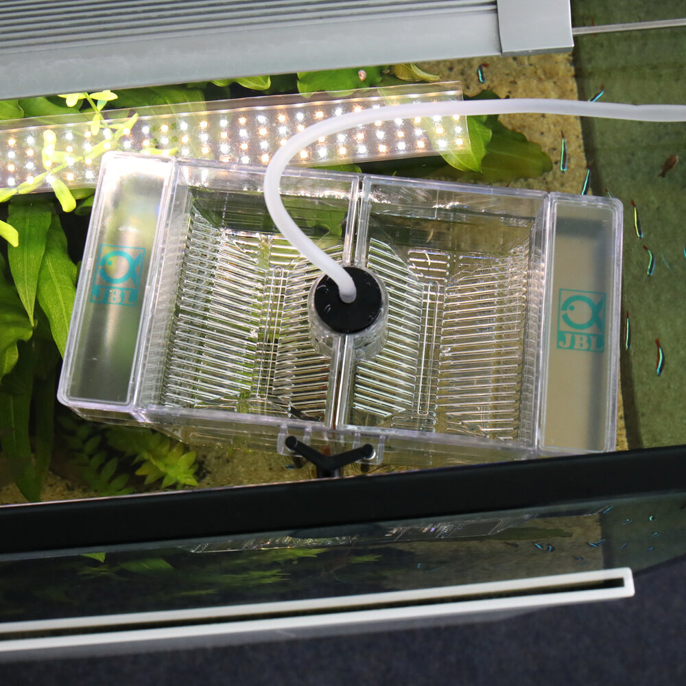 JBL BabyHome Oxygen JBL BabyHome Oxygen