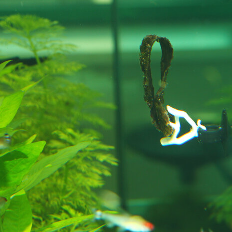 JBL Futterklammer 2 Stück JBL Futterklammer 2 Stück