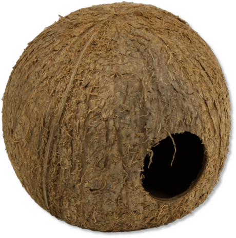 JBL Cocos Cava 3/4 Large