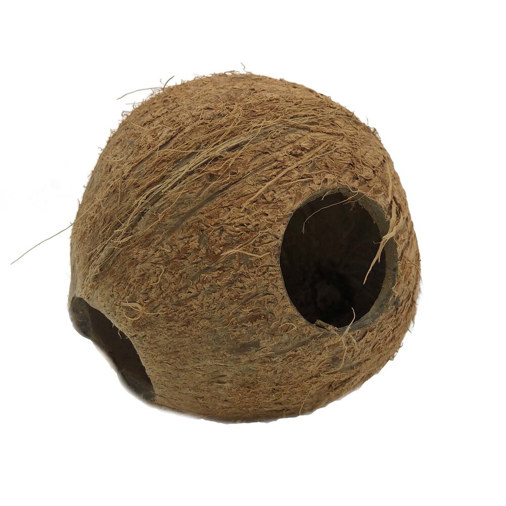 JBL Cocos Cava 1/1 Medium