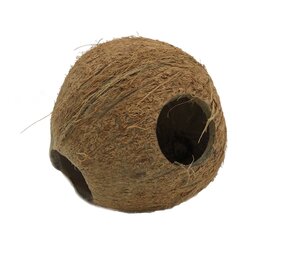 JBL Cocos Cava 1/1 Medium