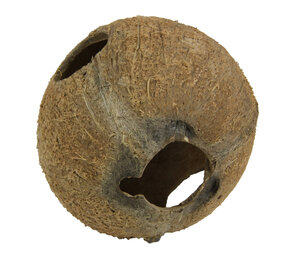 JBL Cocos Cava 1/1 Groß