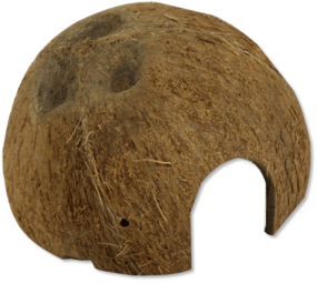 JBL Cocos Cava 1/2 Large