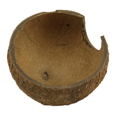 JBL Cocos Cava 1/2 Large