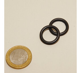 JBL Cristalprofi E700/E900 Absperrhahn Dichtung JBL Cristalprofi E700/E900 Absperrhahn Dichtung