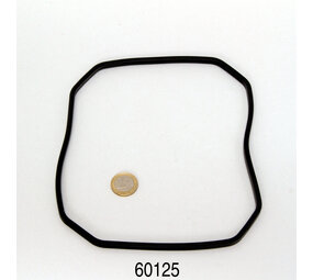 JBL Cristalprofi E1500 / E1900 Dichtung Pumpendeckel