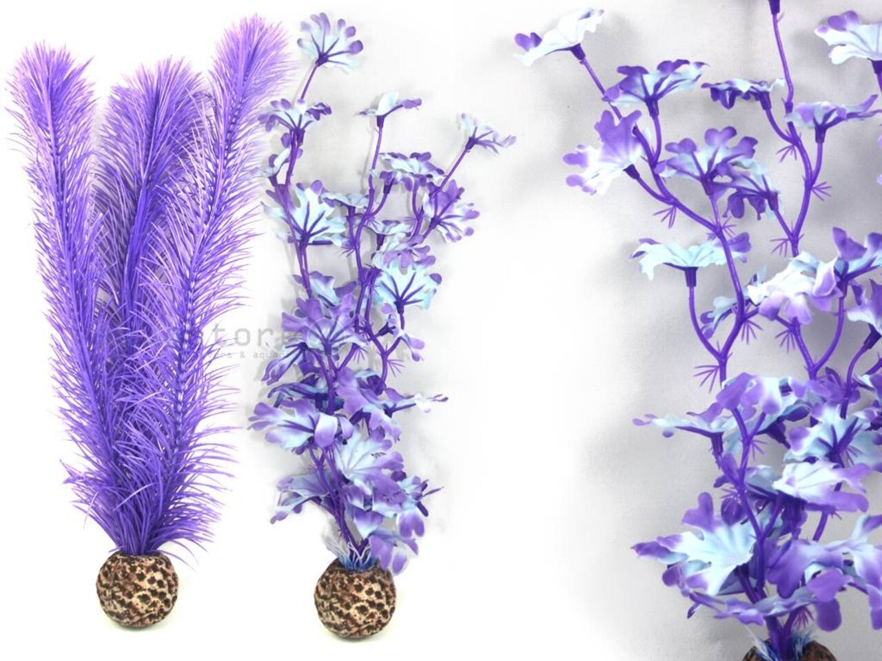 biOrb Purple Kelp Medium