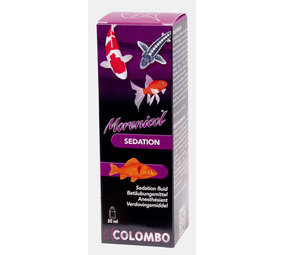 Colombo Betäubung 20 ml