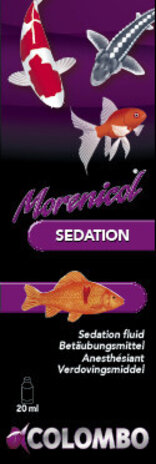 Colombo Betäubung 20 ml