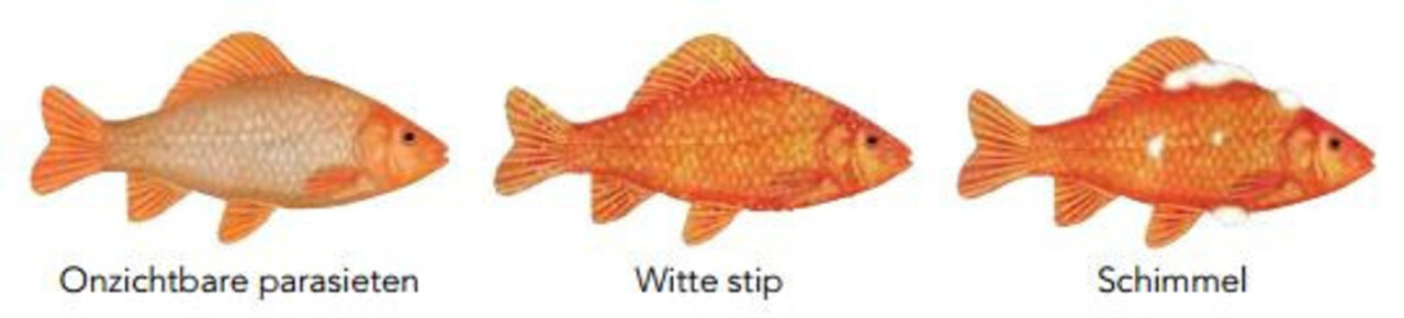 Colombo Alparex 100ml