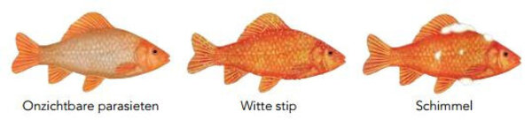 Colombo Alparex 100ml