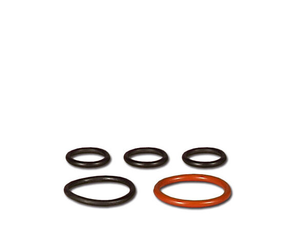 Eheim Set O-Ringe Adapter Für Professionel 3 2080 Eheim Set O-Ringe Adapter Für Professionel 3 2080