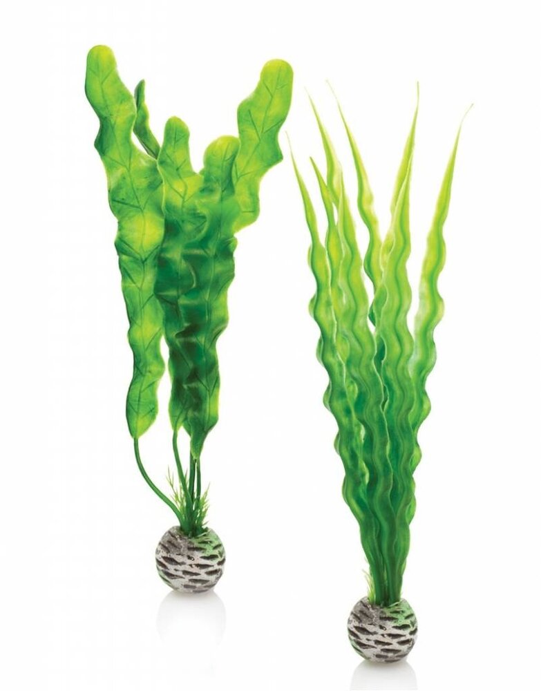 biOrb Easy plants 2x mittel grün