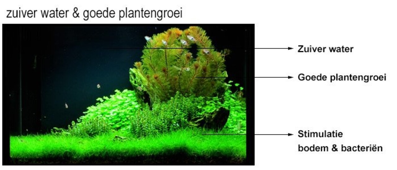 Easy Life Filtermedium 1 Liter