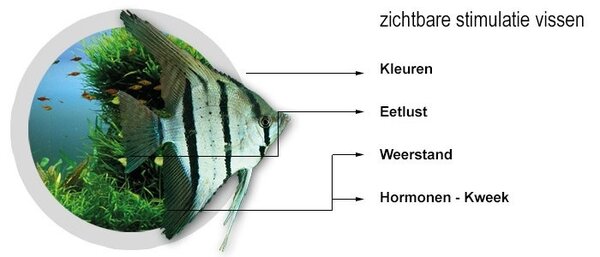 Easy Life Filtermedium 250 ml