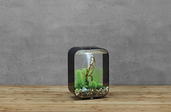 biOrb Life 15 LED Schwarz