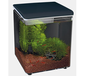 Superfish Startseite 8 Schwarz Superfish Startseite 8 Schwarz