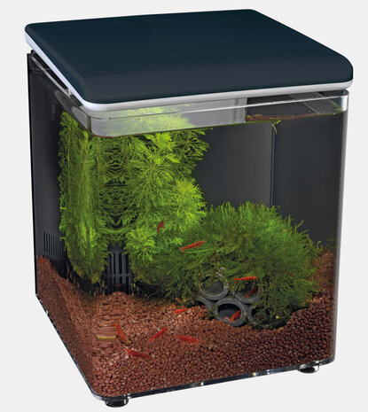 Superfish Startseite 8 Schwarz Superfish Startseite 8 Schwarz