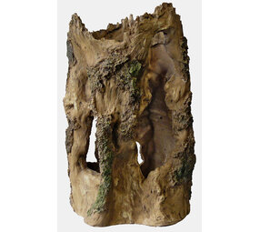 Superfish Baumhaus Large