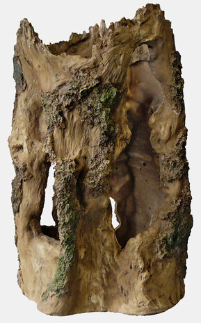 Superfish Baumhaus Large