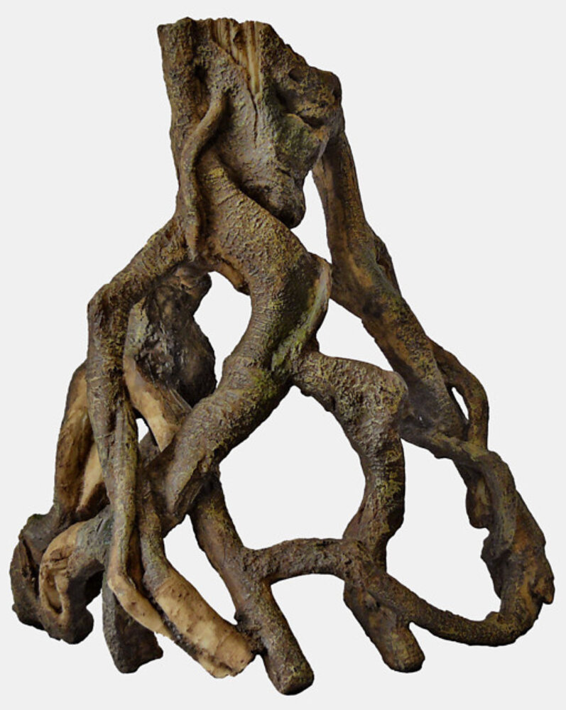 Superfish Mangrovenwurzel Large