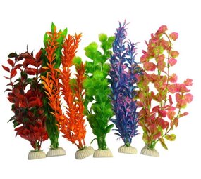 Superfish Große Aquarienpflanzen