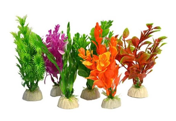 Superfish Aqua Pflanzen klein