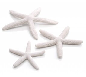 biOrb Star Fish