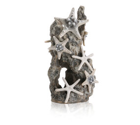 biOrb Seestern Felsen Ornament