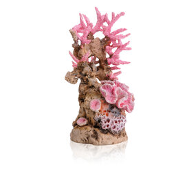 biOrb Korallenriff Rosa Ornament