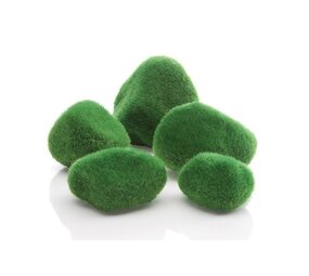 biOrb Moossteine 5 Stück