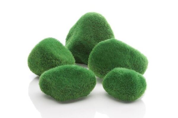 biOrb Moossteine 5 Stück