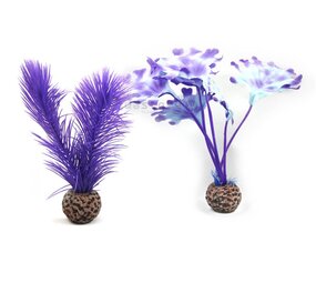 biOrb Purple Kelp klein