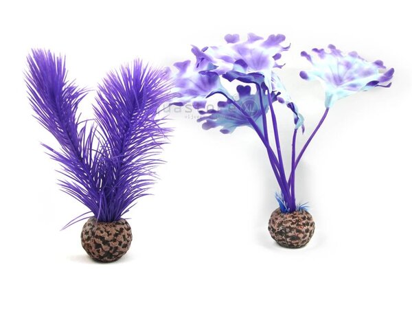 biOrb Purple Kelp klein