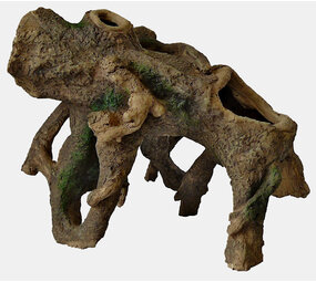 Superfish Stehende Wurzel Medium