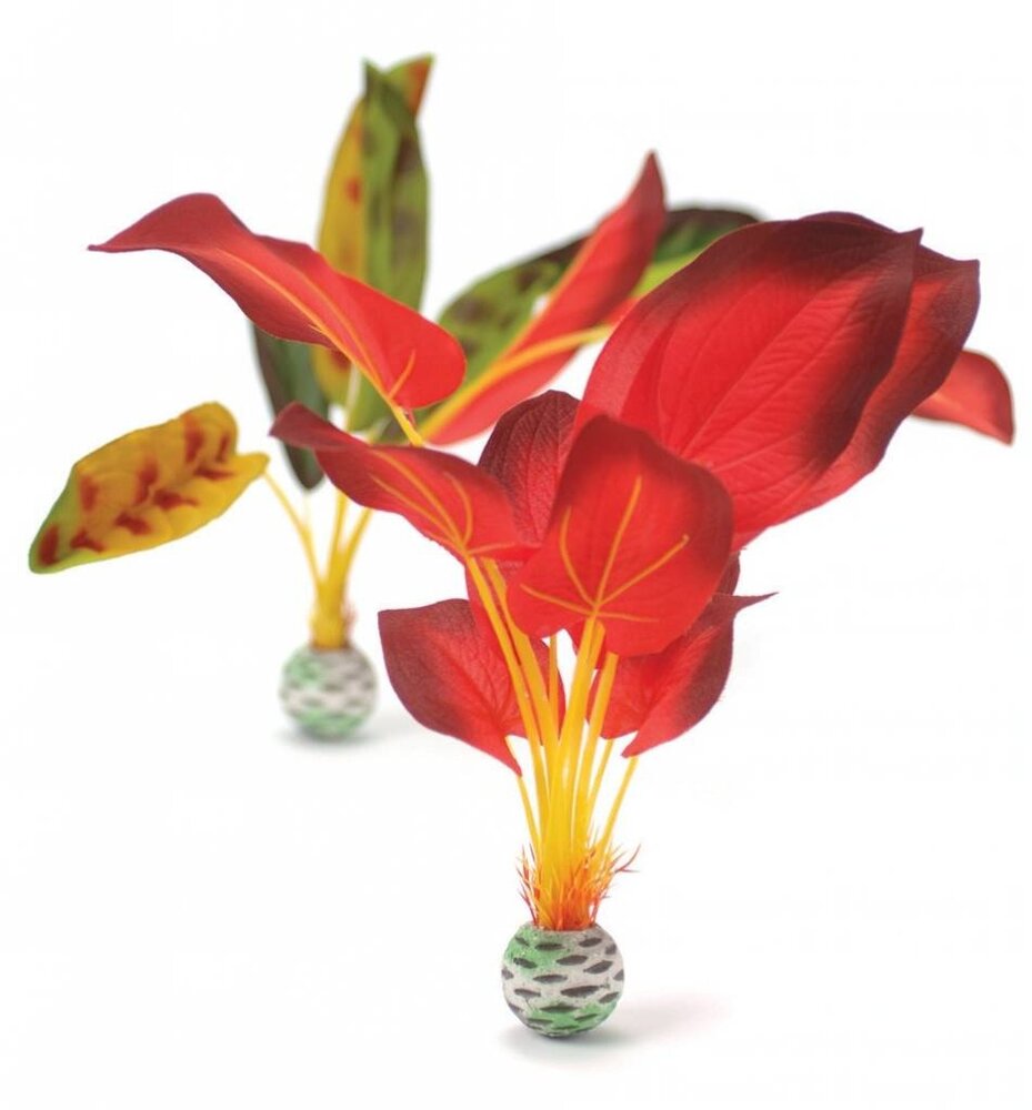 biOrb Seidenpflanze 2x hoch rot/grün