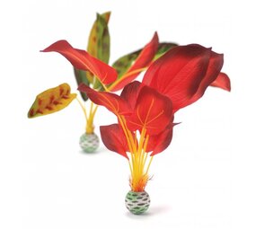 biOrb Seidenpflanze 2x hoch rot/grün