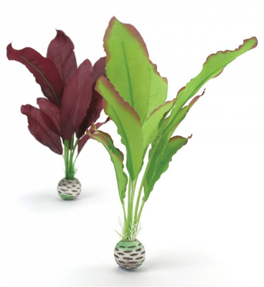 biOrb Seidenpflanze 2x mittel lila/grün