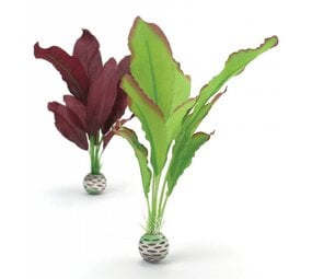 biOrb Seidenpflanze 2x mittel lila/grün