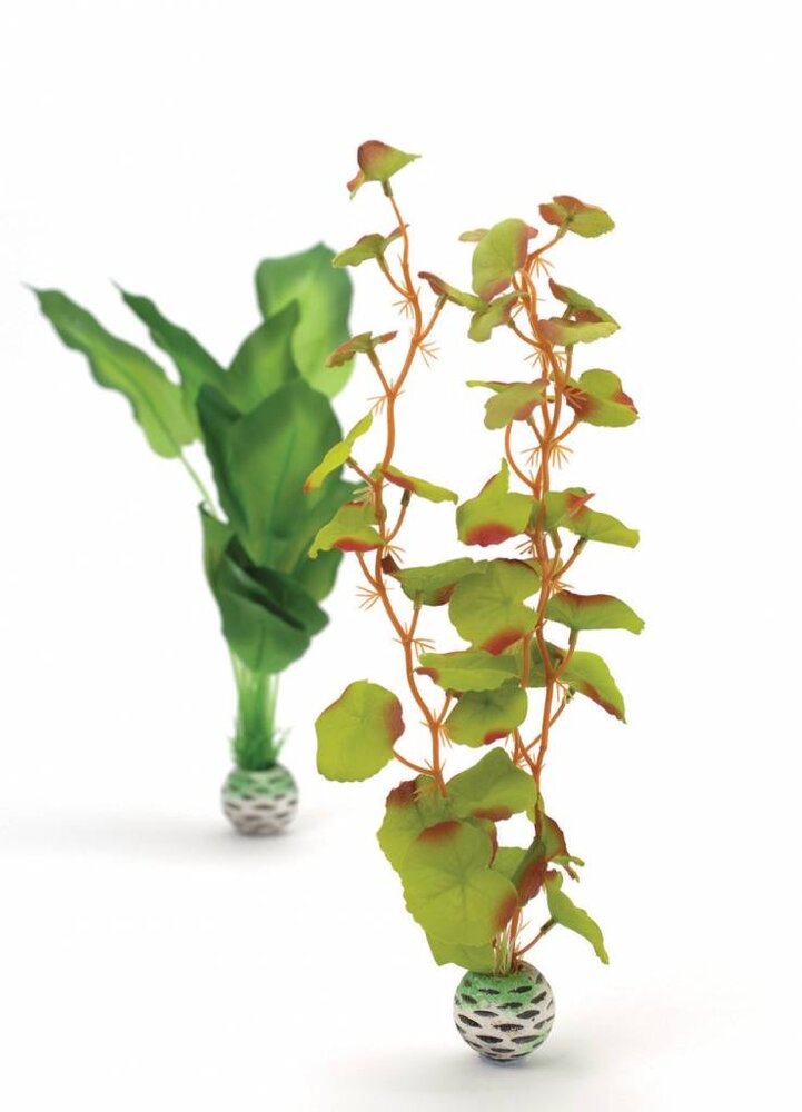 biOrb Seidenpflanze 2x mittel grün/grün