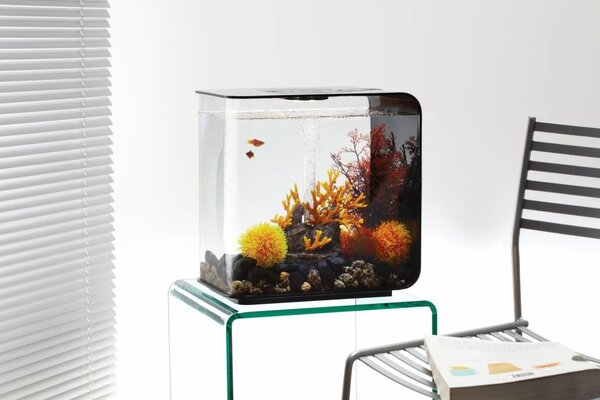 biOrb Großer Farbball Orange