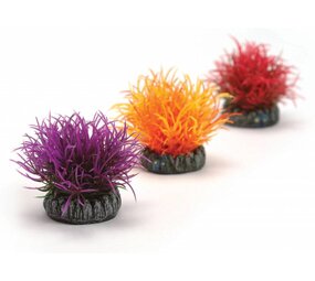 biOrb Farbkugeln small 3x orange/rot/lila