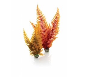 biOrb Easy plants 2x mittel Herbstfarn