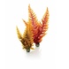 biOrb Easy plants 2x mittel Herbstfarn biOrb Easy plants 2x mittel Herbstfarn